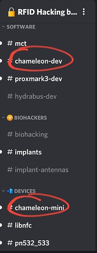 Screenshot_20201023-055159_Discord