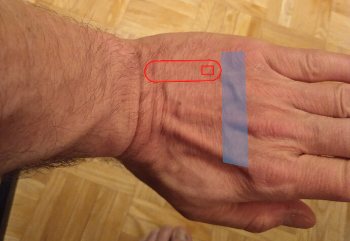 flexM1-Wrist_extended-Fingers_extended