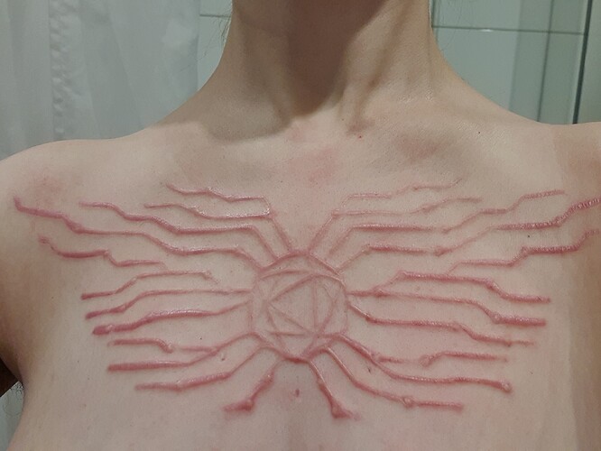 Scars01