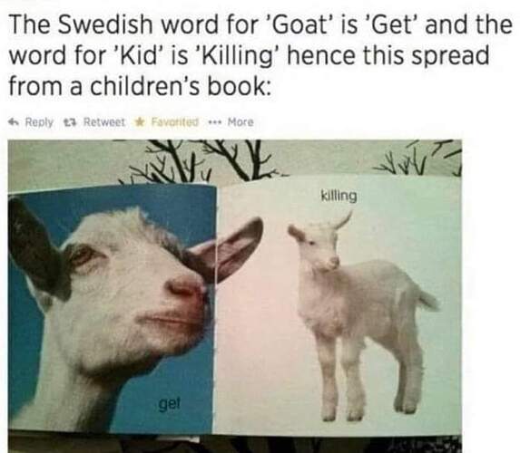 FB_IMG_1636318905357