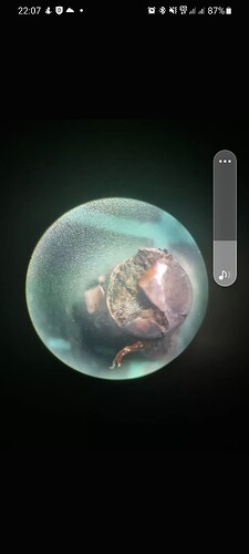 Screenshot_20211017-220701_Discord