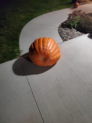 20211029_190550