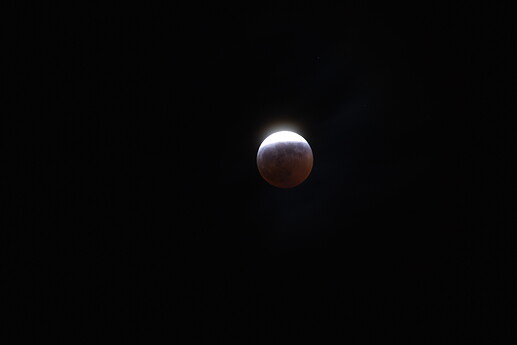 DSC_0007