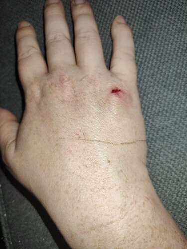 16491146856036211852395425553619