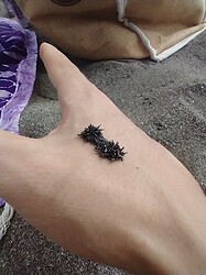 IMG_20220612_151112685