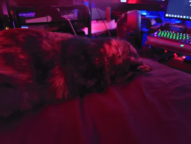 20211212_143347