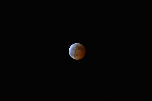 DSC_0019