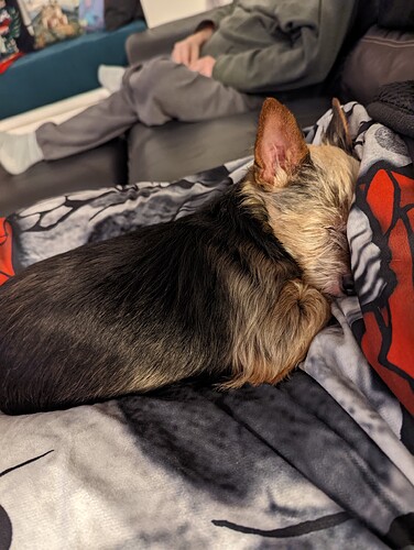 PXL_20211229_030854413