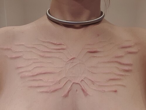 chest