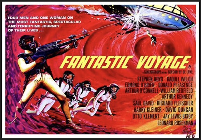 FantasticVoyage