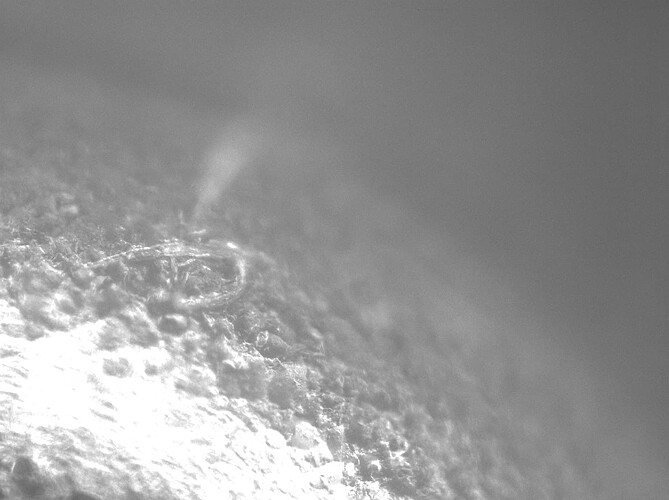 flake
