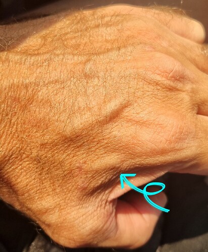 20230403_084728