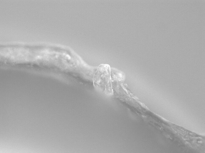porous