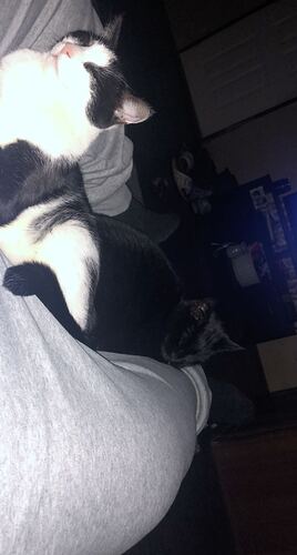 Snapchat-1272244594