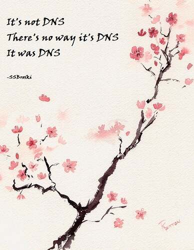 dns