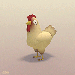 chicken