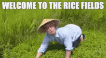 welcome-to-the-rice-fields-japan