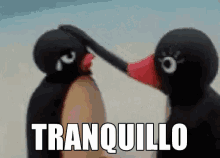 tranquillo-tranquilla